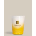 Horomia Vaniglia e Benzoino illatgyertya