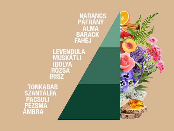 Fragrante - Brezza d'Autunno illatjegyek