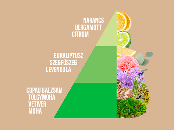 Fragrante - Horomia Citrusos szagmentesítő illatjegyek