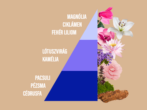 Fragrante - Horomia lótuszvirág és pacsuli illatjegyek