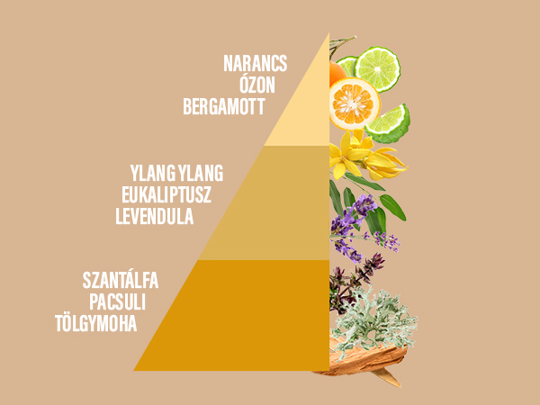 Fragrante - Horomia ylang ylang szantálfa illatjegyek