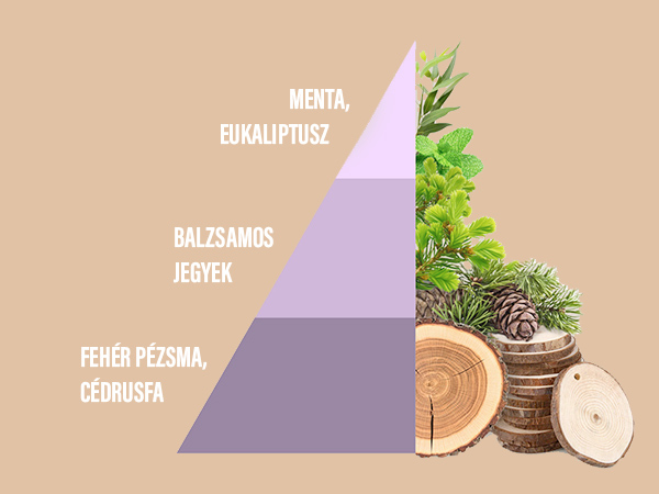 Fragrante - Horomia menta és eukaliptusz illatjegyek